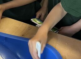 IMG 4889