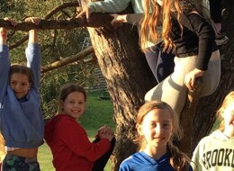 488646283 1398206271611478 4011361183338089163 n